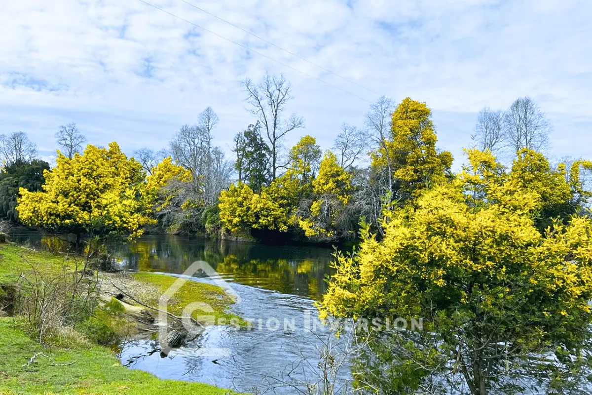 Venta Casa En Valdivia En Condominio Privado – CV1 - Imagen 20