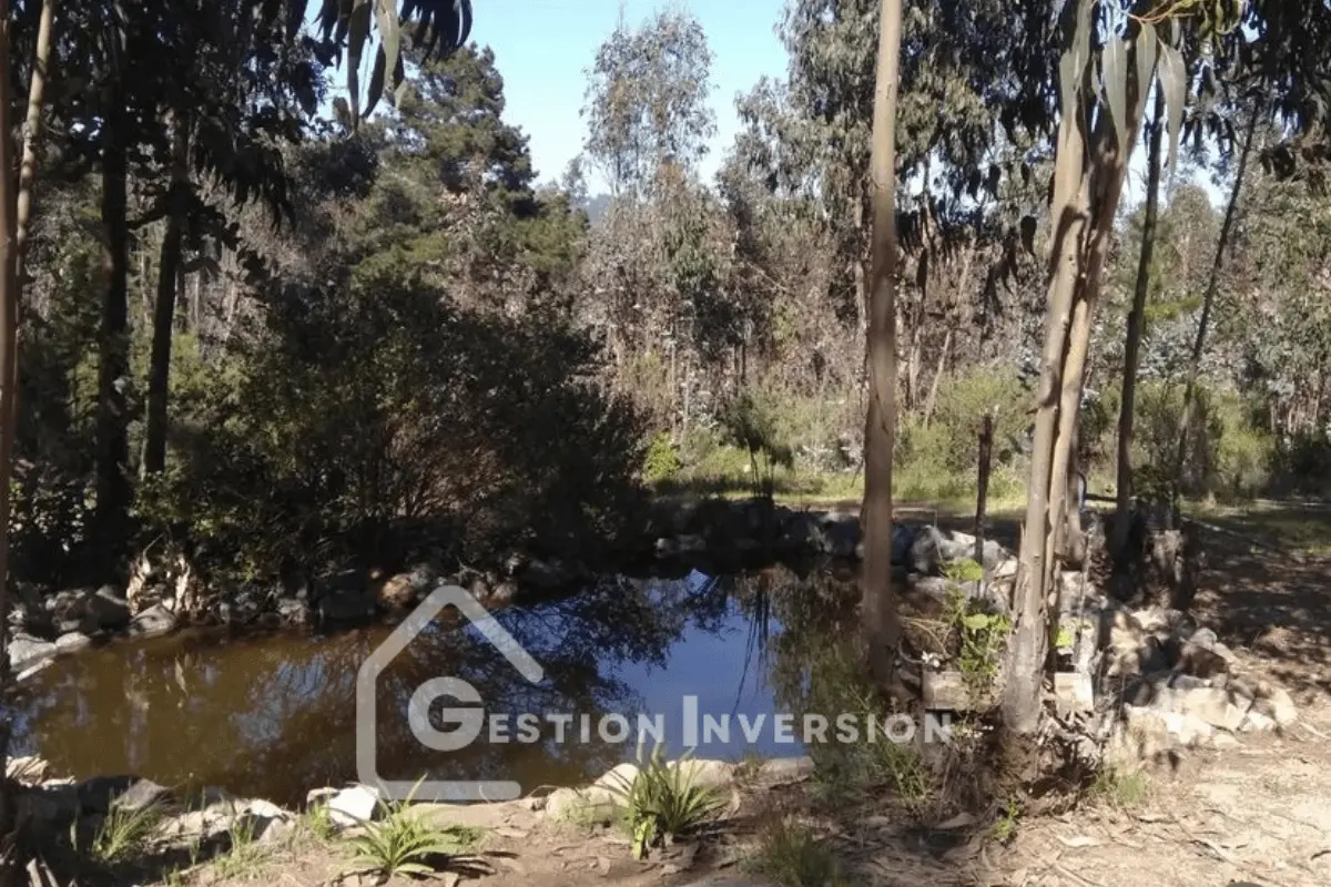 Venta Casa En Condominio Bosques Del Totoral – CBT - Imagen 9