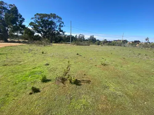 Terreno plano y despejado en el sector de Santa Genoveva, Algarrobo, listo para construir, una oportunidad de inversión presentada por Gestión inversión.