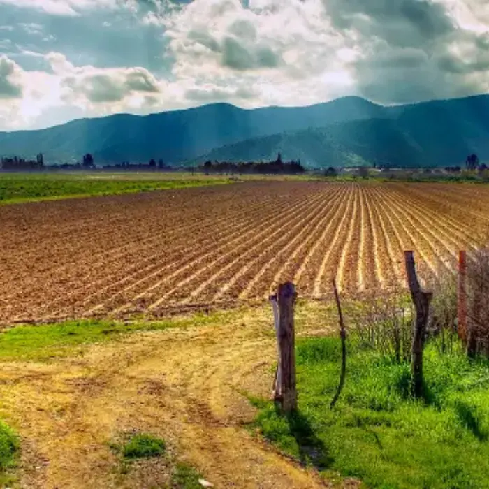 Maximizando el Potencial de Campos y Viñedos.