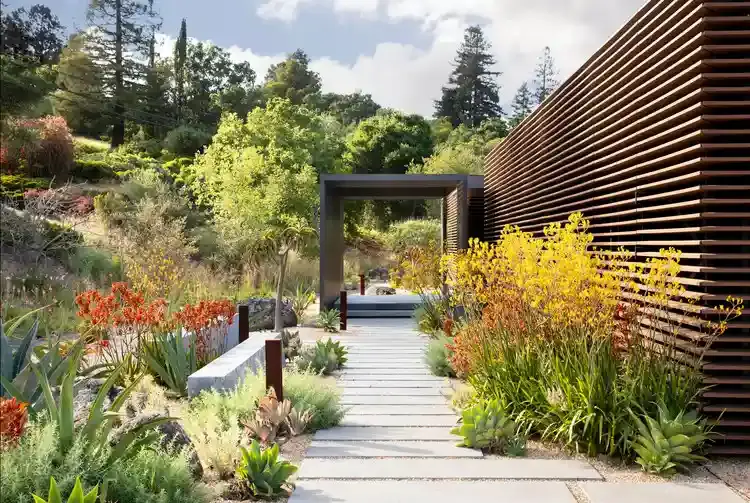Proyecto de paisajismo de alta gama que combina diseño contemporáneo y plantas de bajo consumo hídrico, una inversión que Gestión inversión recomienda para valorizar propiedades.