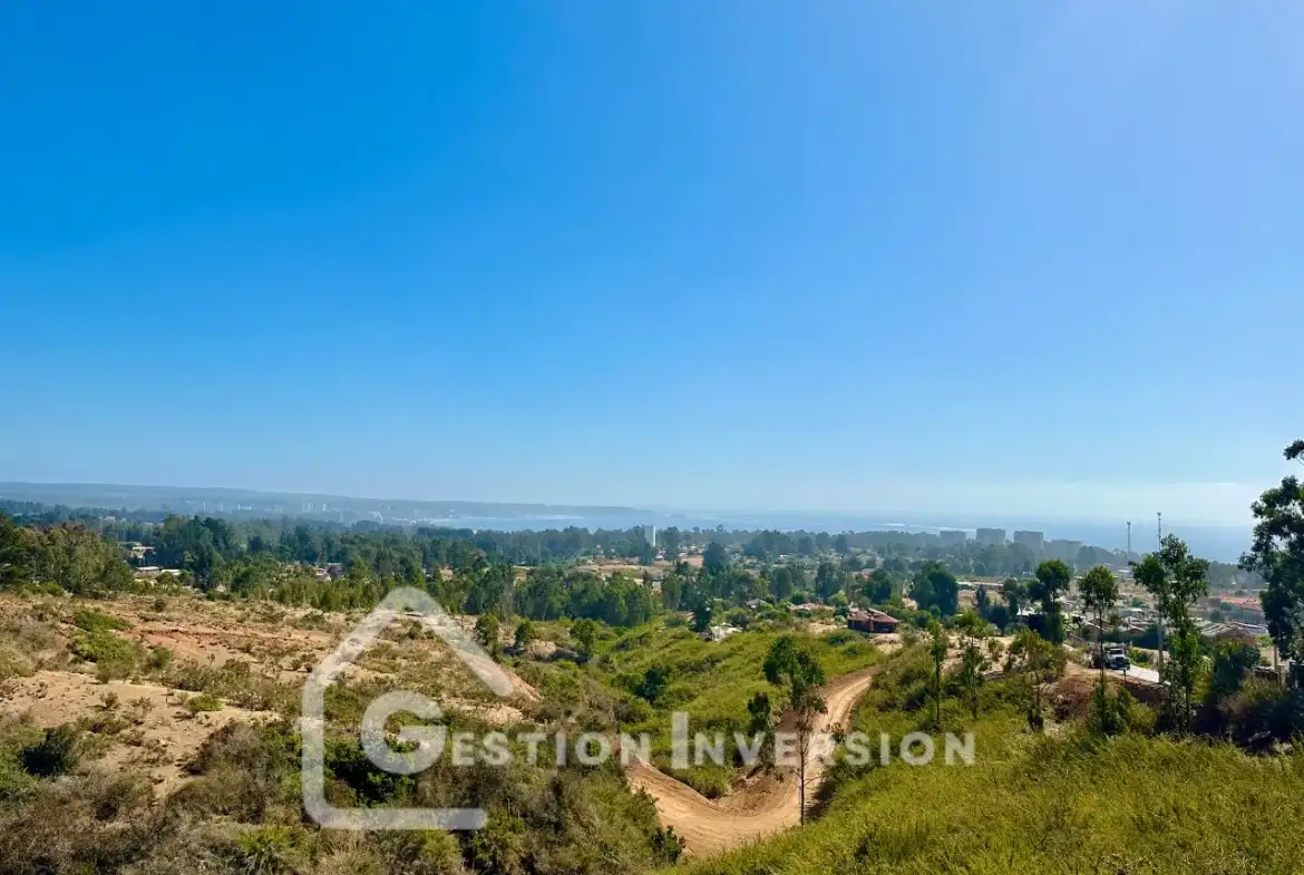 Venta Terreno en Algarrobo Norte – Rol Propio – VA1 Camino del Medio, Algarrobo, San Antonio, Valparaíso Venta - Imagen 6